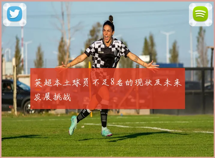 英超本土球员不足8名的现状及未来发展挑战