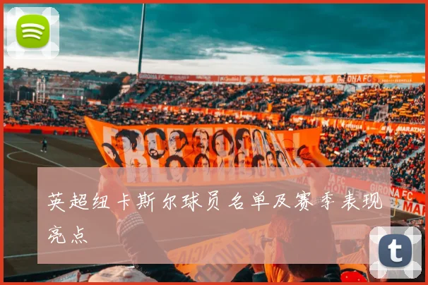 英超纽卡斯尔球员名单及赛季表现亮点