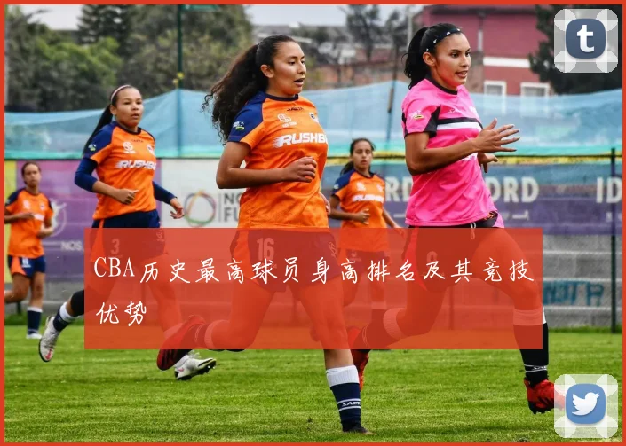 CBA历史最高球员身高排名及其竞技优势