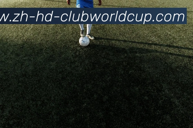 世界杯官网服务体系