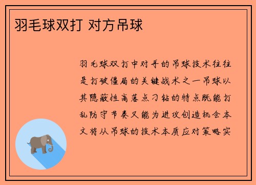 羽毛球双打 对方吊球