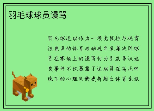 羽毛球球员谩骂